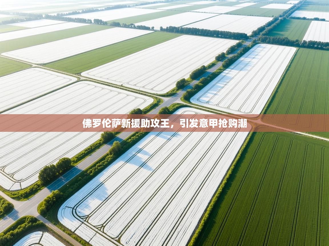 佛罗伦萨新援助攻王,引发意甲抢购潮 第1张