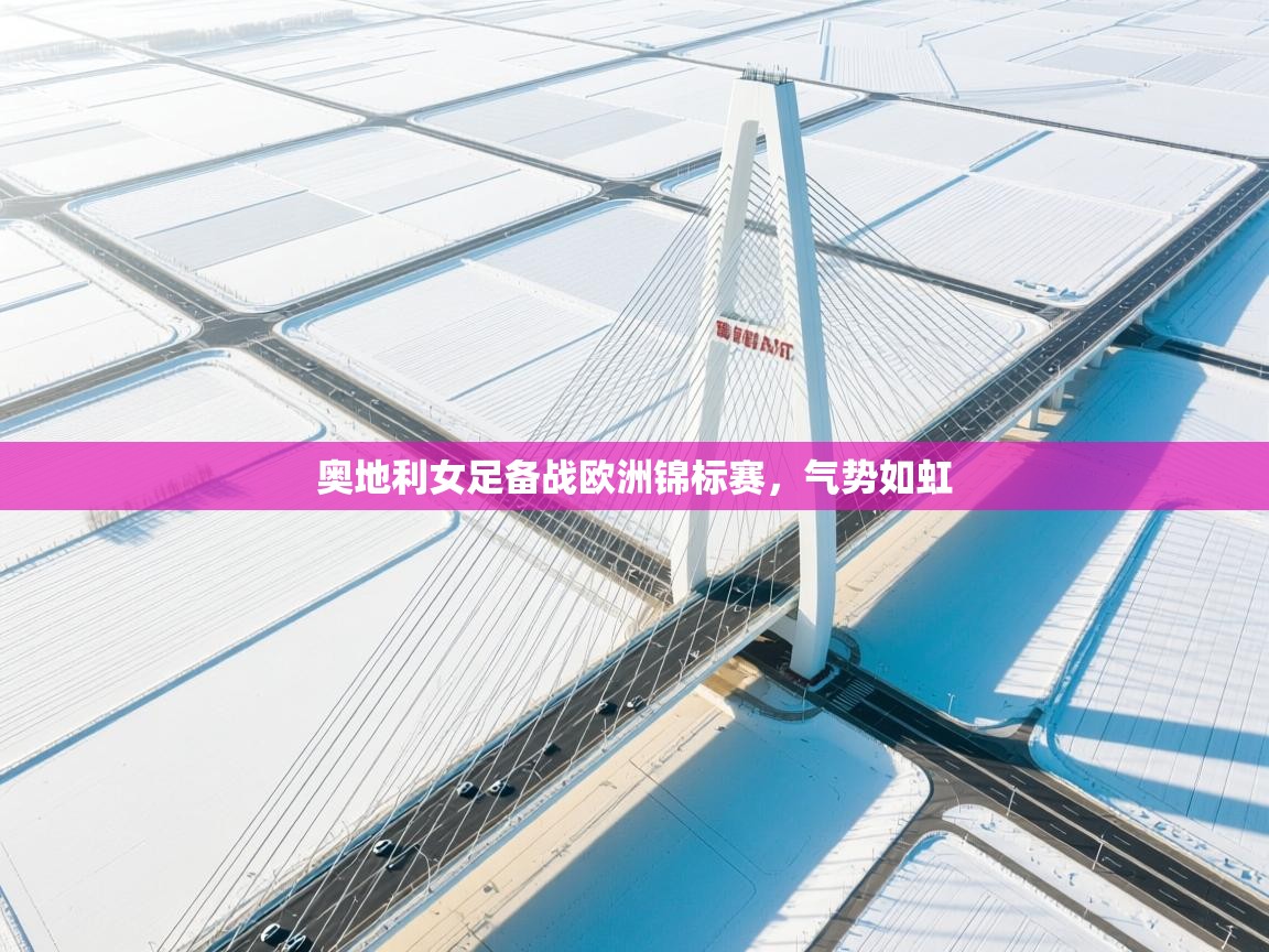 奥地利女足备战欧洲锦标赛，气势如虹  第1张