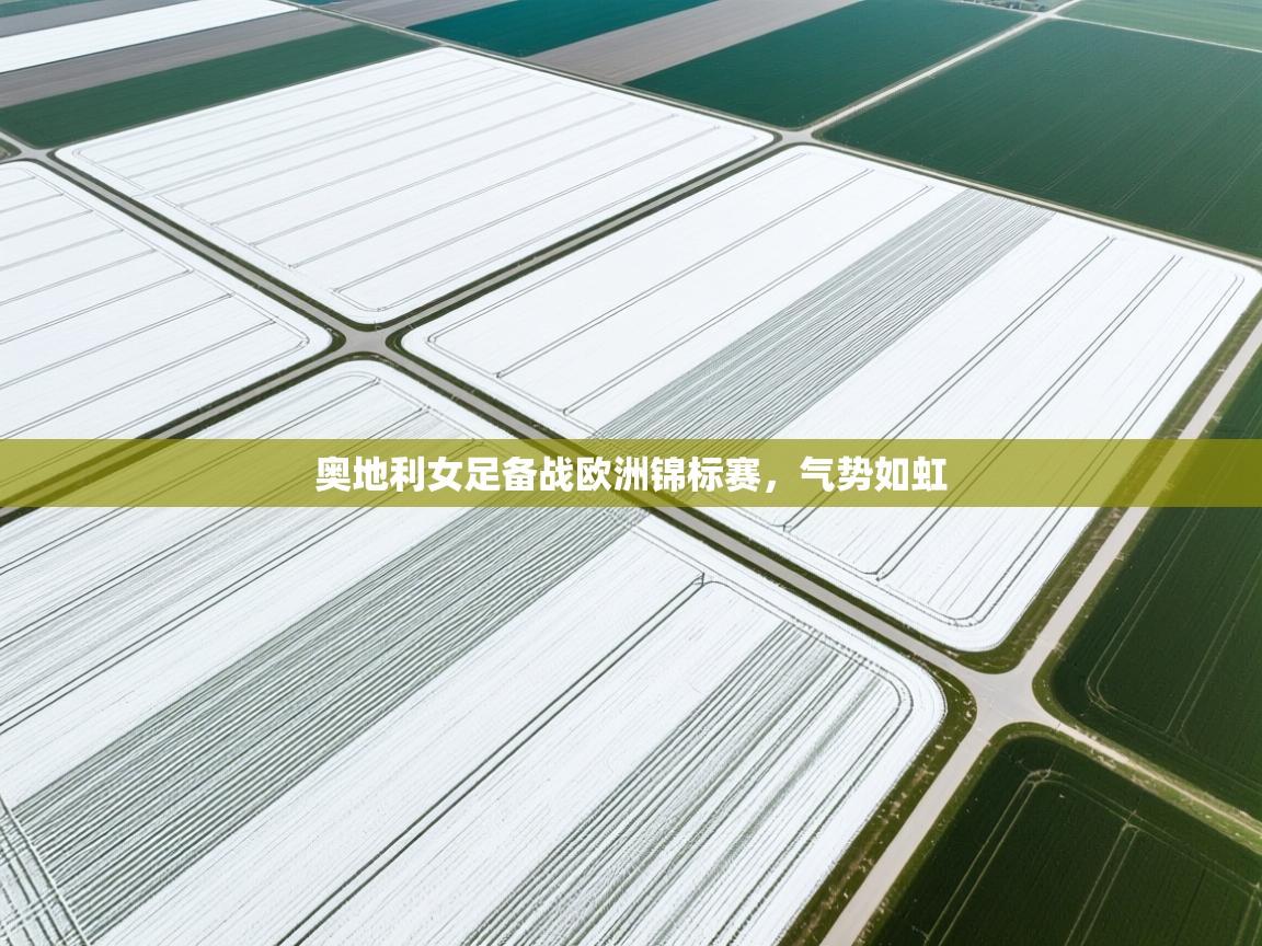 奥地利女足备战欧洲锦标赛，气势如虹  第2张