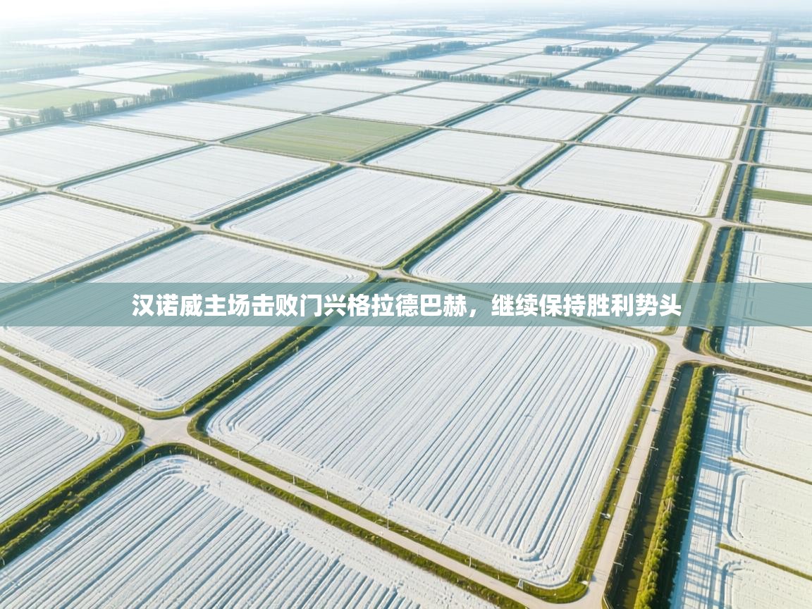 汉诺威主场击败门兴格拉德巴赫，继续保持胜利势头  第2张